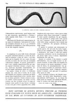 giornale/TO00197546/1932/unico/00000724