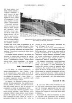 giornale/TO00197546/1932/unico/00001087