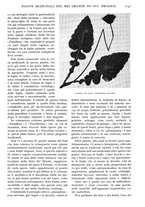 giornale/TO00197546/1932/unico/00001187