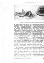 giornale/TO00197546/1932/unico/00001320