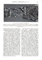giornale/TO00197548/1937/unico/00000381