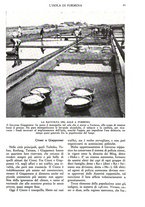 giornale/TO00197548/1938/unico/00000061
