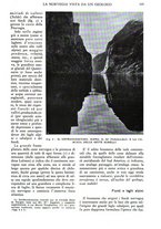 giornale/TO00197548/1938/unico/00000193