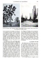giornale/TO00197548/1938/unico/00000337