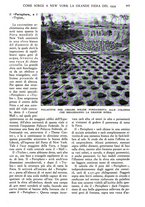 giornale/TO00197548/1938/unico/00000565