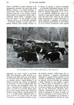 giornale/TO00197548/1941/unico/00000620