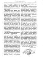 giornale/TO00197666/1903/unico/00000021