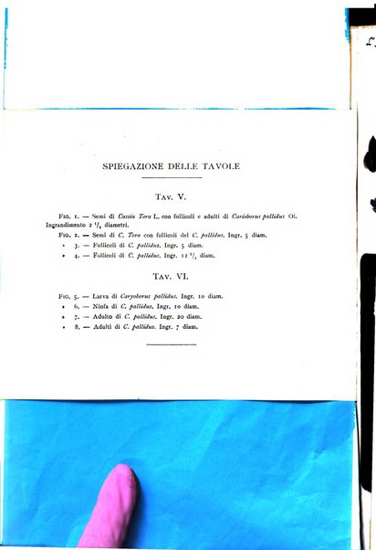 L'agricoltura coloniale organo dell'Istituto agricolo coloniale italiano e dell'Ufficio agrario sperimentale dell'Eritrea