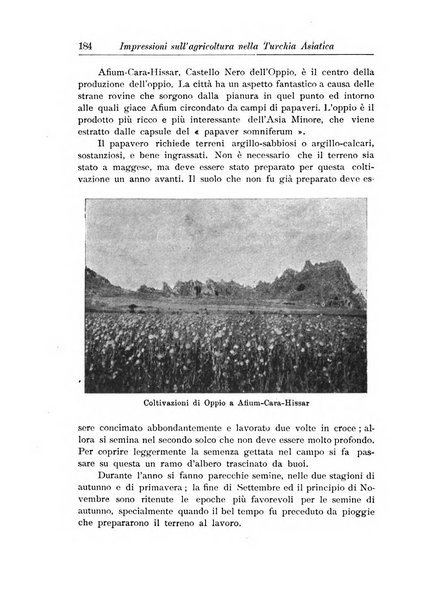 L'agricoltura coloniale organo dell'Istituto agricolo coloniale italiano e dell'Ufficio agrario sperimentale dell'Eritrea