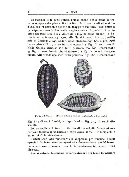 L'agricoltura coloniale organo dell'Istituto agricolo coloniale italiano e dell'Ufficio agrario sperimentale dell'Eritrea