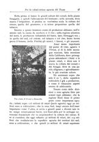 giornale/TO00199161/1908/unico/00000033