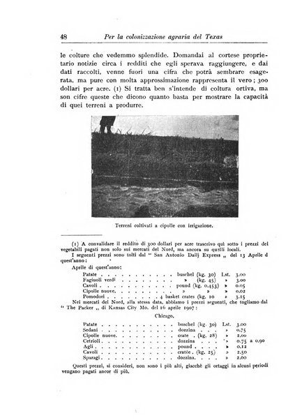 L'agricoltura coloniale organo dell'Istituto agricolo coloniale italiano e dell'Ufficio agrario sperimentale dell'Eritrea