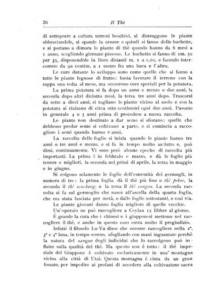 L'agricoltura coloniale organo dell'Istituto agricolo coloniale italiano e dell'Ufficio agrario sperimentale dell'Eritrea