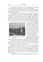 giornale/TO00199161/1908/unico/00000098