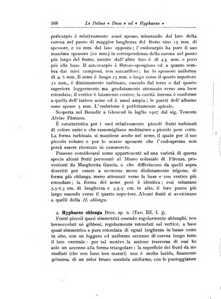 L'agricoltura coloniale organo dell'Istituto agricolo coloniale italiano e dell'Ufficio agrario sperimentale dell'Eritrea