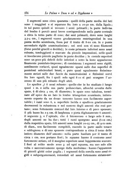 L'agricoltura coloniale organo dell'Istituto agricolo coloniale italiano e dell'Ufficio agrario sperimentale dell'Eritrea