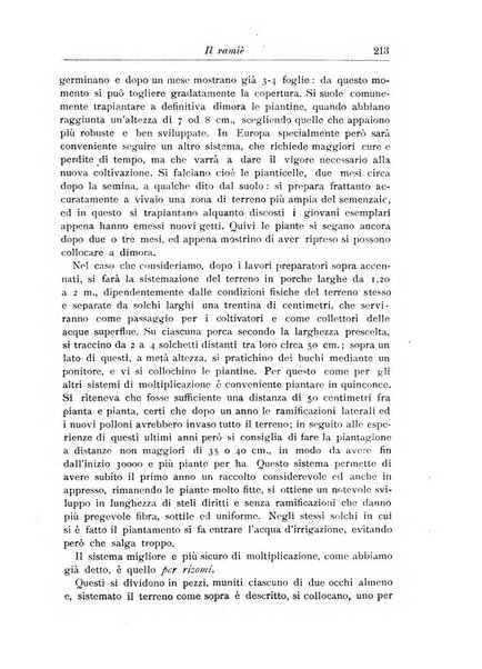 L'agricoltura coloniale organo dell'Istituto agricolo coloniale italiano e dell'Ufficio agrario sperimentale dell'Eritrea