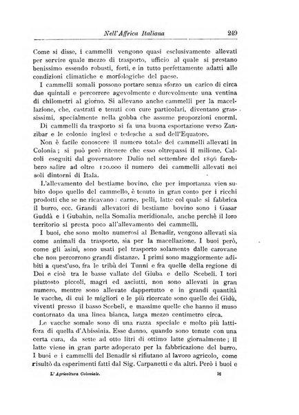 L'agricoltura coloniale organo dell'Istituto agricolo coloniale italiano e dell'Ufficio agrario sperimentale dell'Eritrea