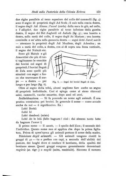 L'agricoltura coloniale organo dell'Istituto agricolo coloniale italiano e dell'Ufficio agrario sperimentale dell'Eritrea