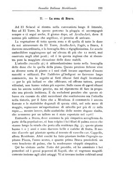 L'agricoltura coloniale organo dell'Istituto agricolo coloniale italiano e dell'Ufficio agrario sperimentale dell'Eritrea