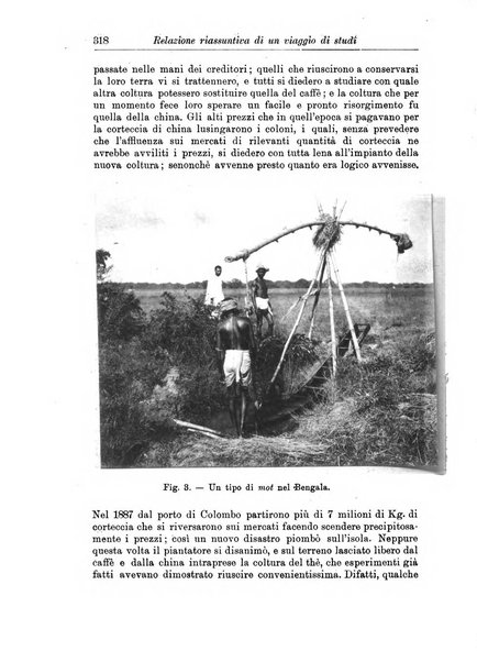 L'agricoltura coloniale organo dell'Istituto agricolo coloniale italiano e dell'Ufficio agrario sperimentale dell'Eritrea