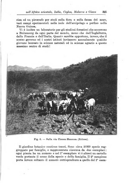 L'agricoltura coloniale organo dell'Istituto agricolo coloniale italiano e dell'Ufficio agrario sperimentale dell'Eritrea