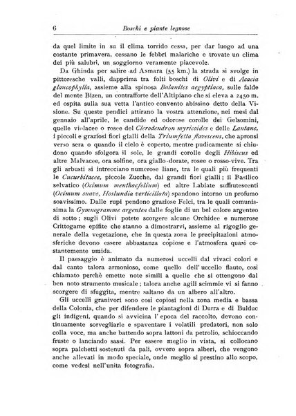 L'agricoltura coloniale organo dell'Istituto agricolo coloniale italiano e dell'Ufficio agrario sperimentale dell'Eritrea