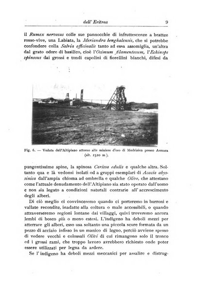 L'agricoltura coloniale organo dell'Istituto agricolo coloniale italiano e dell'Ufficio agrario sperimentale dell'Eritrea