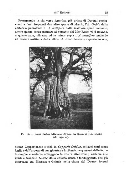 L'agricoltura coloniale organo dell'Istituto agricolo coloniale italiano e dell'Ufficio agrario sperimentale dell'Eritrea