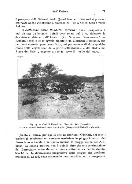 L'agricoltura coloniale organo dell'Istituto agricolo coloniale italiano e dell'Ufficio agrario sperimentale dell'Eritrea