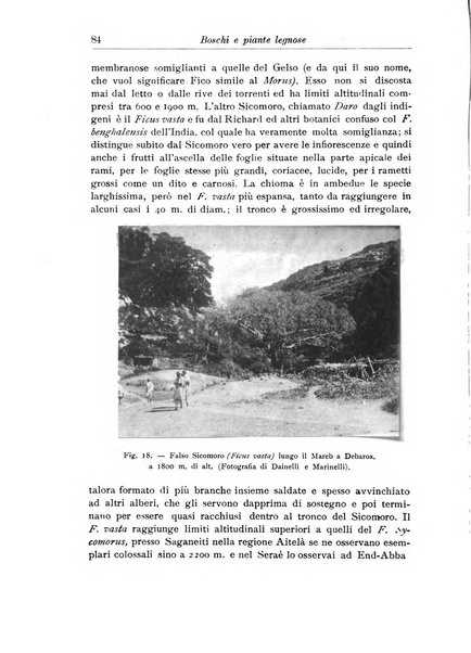 L'agricoltura coloniale organo dell'Istituto agricolo coloniale italiano e dell'Ufficio agrario sperimentale dell'Eritrea