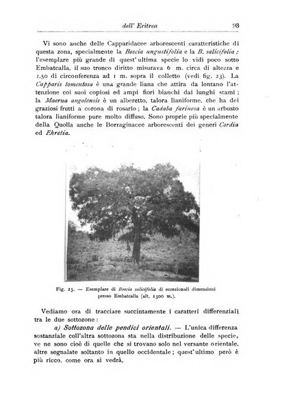 L'agricoltura coloniale organo dell'Istituto agricolo coloniale italiano e dell'Ufficio agrario sperimentale dell'Eritrea