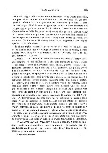 L'agricoltura coloniale organo dell'Istituto agricolo coloniale italiano e dell'Ufficio agrario sperimentale dell'Eritrea