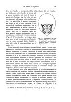 giornale/TO00199161/1910/unico/00000163