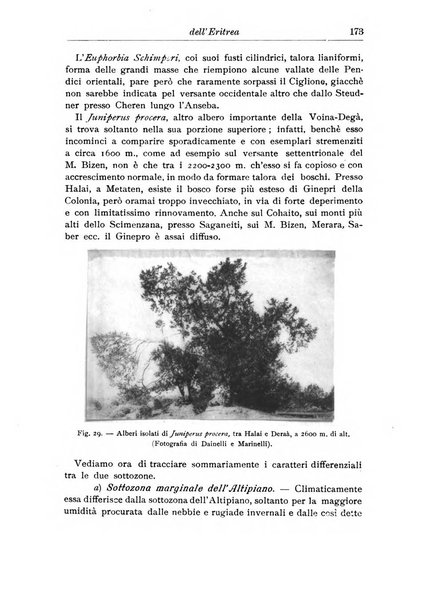 L'agricoltura coloniale organo dell'Istituto agricolo coloniale italiano e dell'Ufficio agrario sperimentale dell'Eritrea