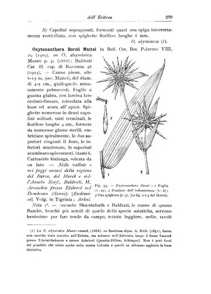 L'agricoltura coloniale organo dell'Istituto agricolo coloniale italiano e dell'Ufficio agrario sperimentale dell'Eritrea