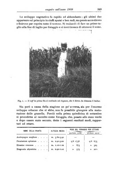 L'agricoltura coloniale organo dell'Istituto agricolo coloniale italiano e dell'Ufficio agrario sperimentale dell'Eritrea