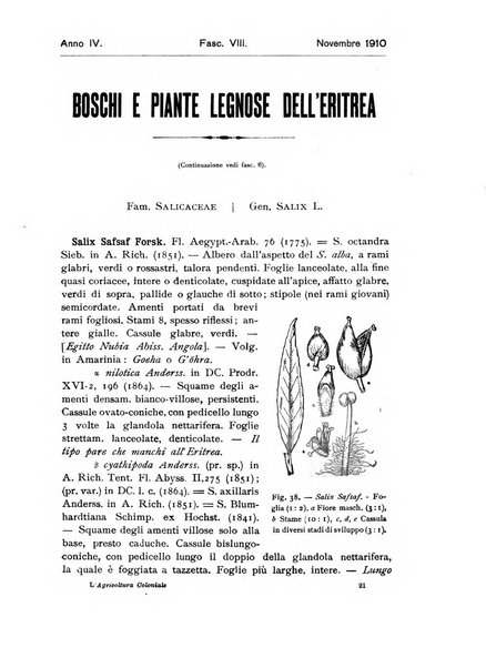 L'agricoltura coloniale organo dell'Istituto agricolo coloniale italiano e dell'Ufficio agrario sperimentale dell'Eritrea