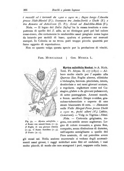 L'agricoltura coloniale organo dell'Istituto agricolo coloniale italiano e dell'Ufficio agrario sperimentale dell'Eritrea