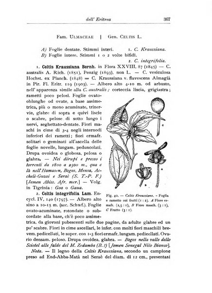 L'agricoltura coloniale organo dell'Istituto agricolo coloniale italiano e dell'Ufficio agrario sperimentale dell'Eritrea