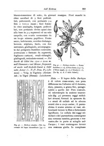 L'agricoltura coloniale organo dell'Istituto agricolo coloniale italiano e dell'Ufficio agrario sperimentale dell'Eritrea