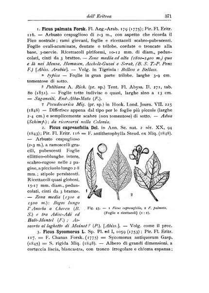 L'agricoltura coloniale organo dell'Istituto agricolo coloniale italiano e dell'Ufficio agrario sperimentale dell'Eritrea