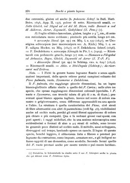 L'agricoltura coloniale organo dell'Istituto agricolo coloniale italiano e dell'Ufficio agrario sperimentale dell'Eritrea