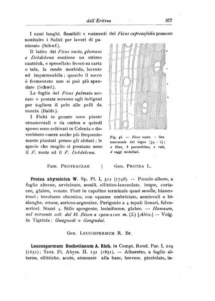 L'agricoltura coloniale organo dell'Istituto agricolo coloniale italiano e dell'Ufficio agrario sperimentale dell'Eritrea