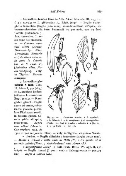 L'agricoltura coloniale organo dell'Istituto agricolo coloniale italiano e dell'Ufficio agrario sperimentale dell'Eritrea