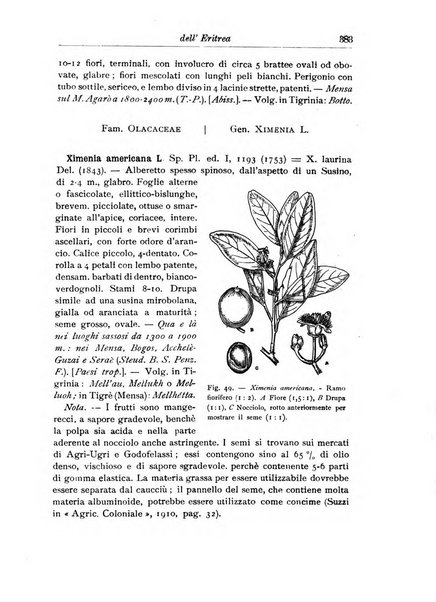 L'agricoltura coloniale organo dell'Istituto agricolo coloniale italiano e dell'Ufficio agrario sperimentale dell'Eritrea