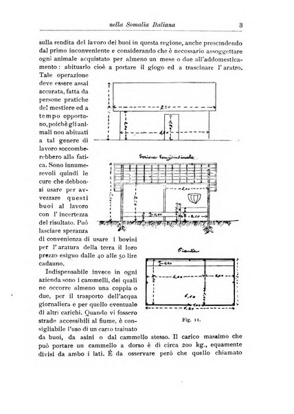 L'agricoltura coloniale organo dell'Istituto agricolo coloniale italiano e dell'Ufficio agrario sperimentale dell'Eritrea