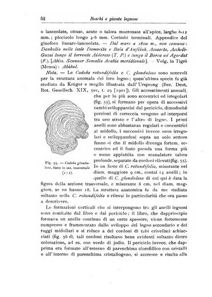 L'agricoltura coloniale organo dell'Istituto agricolo coloniale italiano e dell'Ufficio agrario sperimentale dell'Eritrea