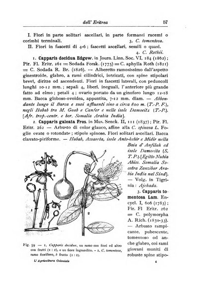 L'agricoltura coloniale organo dell'Istituto agricolo coloniale italiano e dell'Ufficio agrario sperimentale dell'Eritrea