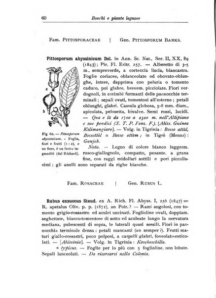 L'agricoltura coloniale organo dell'Istituto agricolo coloniale italiano e dell'Ufficio agrario sperimentale dell'Eritrea